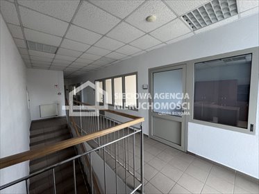 lokal użytkowy na wynajem 130m2 lokal użytkowy Reda