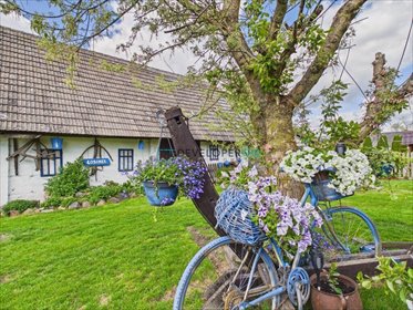 Dom z działalnością nad Biebrzą (5100 m² działki) dom Dolistowo Stare