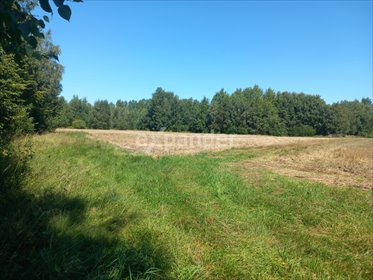 działka na sprzedaż 18200m2 działka Blinno
