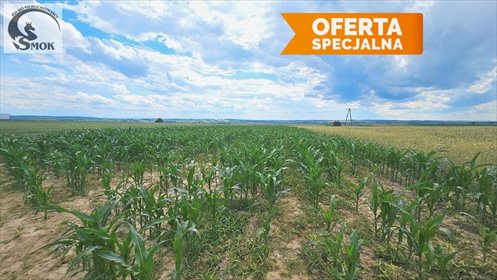 działka na sprzedaż 7850m2 działka Sieciechowice