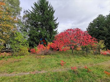 Sprzedam działkę 2521 m² pod dom i usługi w Grodzisku działka Grodzisk Mazowiecki