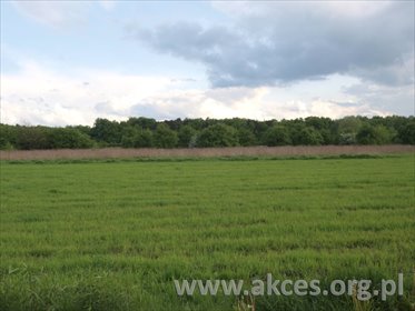 działka na sprzedaż 3500m2 działka Duchnów