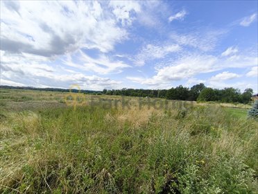 Polecam działkę rolną 451 m² w Otyniu - idealna na rekreację działka Otyń, Miodowa