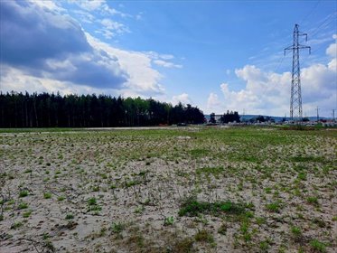 działka na sprzedaż 10600m2 działka Lębork, Kaszubska