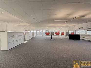 lokal użytkowy na wynajem 249m2 lokal użytkowy Opole