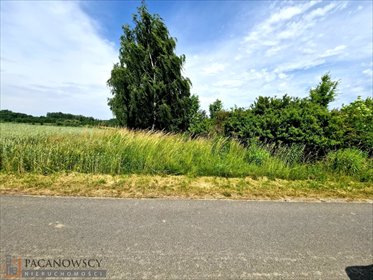 Działka rolna 56 arów z mediami, cicha okolica - polecam! działka Grębynice