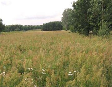 działka na sprzedaż 5300m2 działka Buchałów