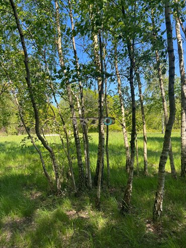 Działka pod osiedle 4100 m² las cisza i spokój działka Józefów, Józefów, Podchorążych