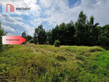 Działka 6100 m² z mediami i potencjałem inwestycyjnym działka Morgi