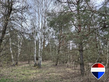 Działka 1432 m² pod dom w spokojnej okolicy z szybkim dojazdem działka Żyrardowski, Tarninowa