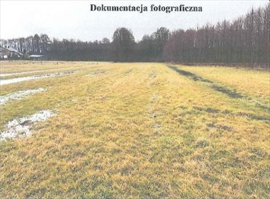 działka na sprzedaż 2728m2 działka Władysławów, Lecha