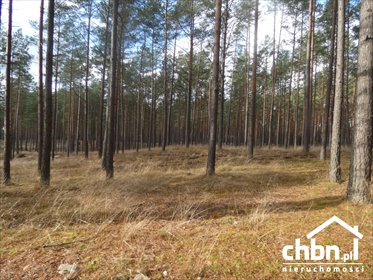 działka na sprzedaż 42200m2 działka Małe Chełmy