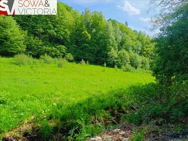 Działka 8 400 m² pod inwestycję turystyczną - las, strumyk działka Michałkowa