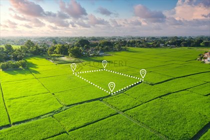 działka na sprzedaż 9900m2 działka Nowa Wola, Słoneczna