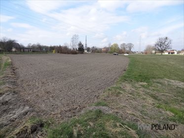 działka na sprzedaż 27382m2 działka Gliwice, Żerniki, Pomorska