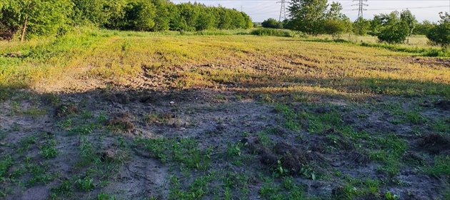 Działka 1208 m² z MPZP, dobry dojazd, atrakcyjna cena. działka Lipie