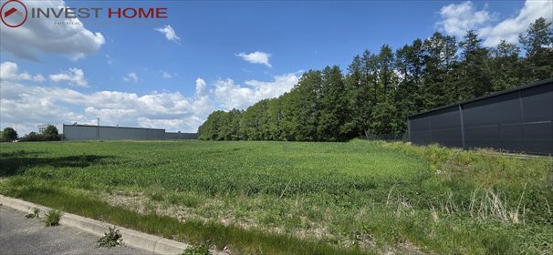 działka na sprzedaż 15475m2 działka Starczanowo
