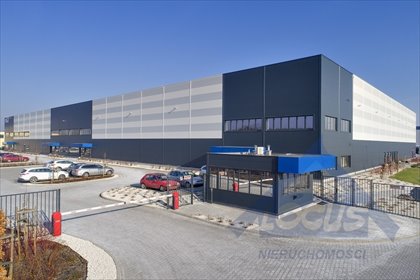 Nowoczesny magazyn 2228 m² z biurem i dokami - wysoki standard magazyn Ożarów Mazowiecki