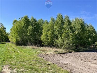 działka na sprzedaż 5500m2 działka Pustelnik