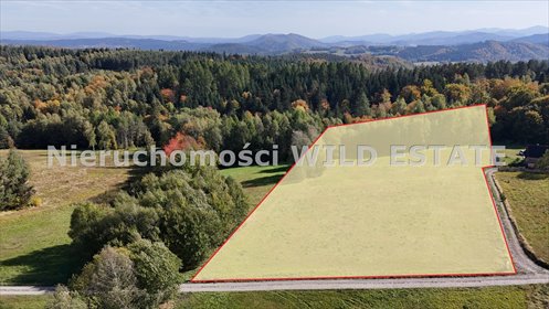 Na sprzedaż działka 9 571 m² z warunkami zabudowy w Bereżnicy Wyżnej działka Solina, Bereżnica Wyżna