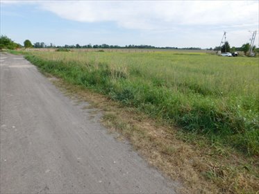 działka na sprzedaż 18900m2 działka Ścinawa Polska, ŚCINAWA POLSKA