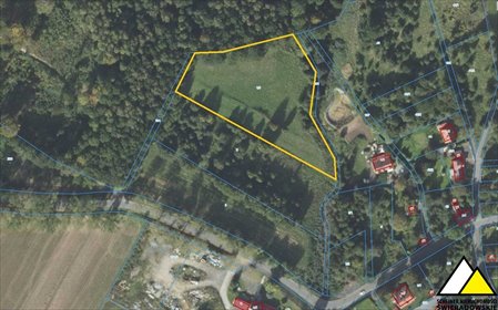 działka na sprzedaż 7700m2 działka Złotniki Lubańskie