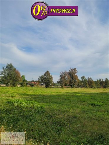 działka na sprzedaż 8077m2 działka Pawlikowice