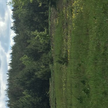 działka na sprzedaż 1754m2 działka Gora