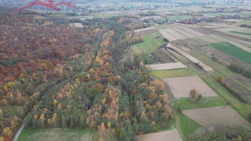 działka na sprzedaż 2700m2 działka Piotrówka
