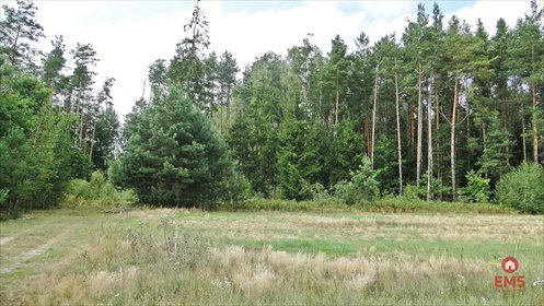 działka na sprzedaż 10400m2 działka Zalesiany