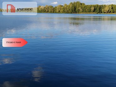 Działka nad jeziorem z lasem i warunkami zabudowy działka Wiewiórczyn
