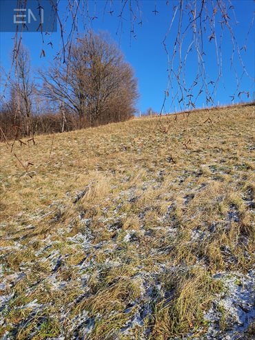 Działka budowlana na sprzedaż Żyznów 9 600m2 Foto 6