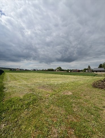 Działka 3,2 ha z widokiem i mediami, blisko Krakowa działka Polanowice