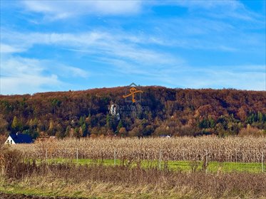 działka na sprzedaż 2700m2 działka Rusocice