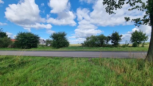 działka na sprzedaż 3250m2 działka Pszczółki, Polna