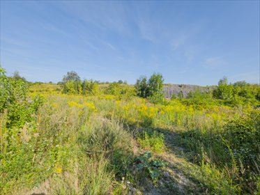 Zapraszam do zakupu działki 4787 m² z pozwoleniem na budowę działka Piekary Śląskie, Brzeziny Śląskie, Walentego Roździeńskiego