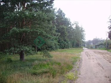 Działka budowlana na sprzedaż Otwock, Świder 5 000m2 Foto 5