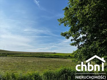 Duża działka 9 300 m² z potencjałem inwestycyjnym działka Kamień Krajeński