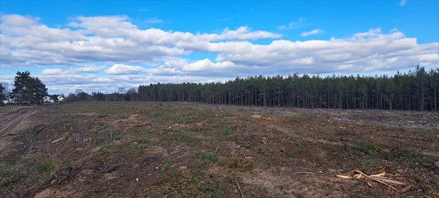 działka na sprzedaż 47154m2 działka Łaz