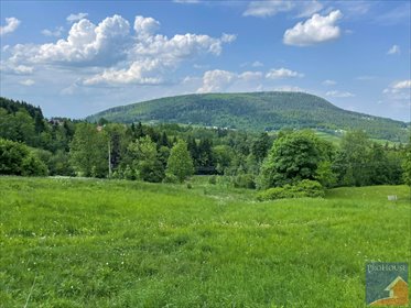 działka na sprzedaż 3680m2 działka Tymbark