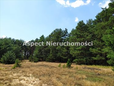 Działka inna na sprzedaż Stawinoga 2 555m2 Foto 1