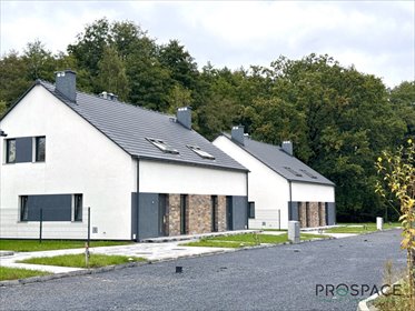 Nowoczesny dom 109 m² z dużymi oknami i lasem w Droszkowie dom Droszków