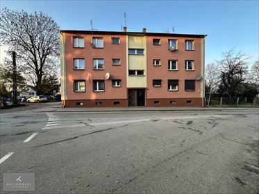 mieszkanie na wynajem 43m2 mieszkanie Międzybórz