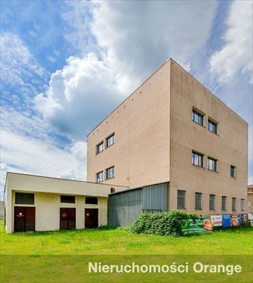 lokal użytkowy na sprzedaż 1780m2 lokal użytkowy Kościan