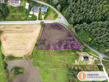 działka na sprzedaż 4745m2 działka Sulmin, Trakt Gdański