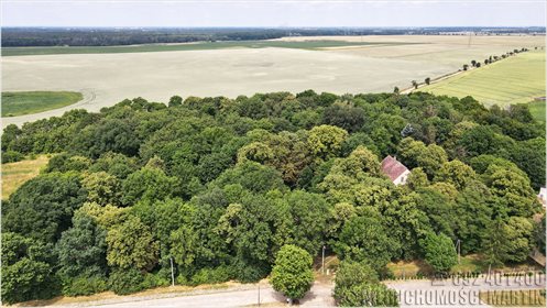 Dom na sprzedaż Chlewiska 420m2 Foto 2