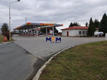 Lokal użytkowy na sprzedaż Kikorze 1 290m2 Foto 3