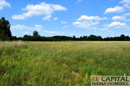 Do sprzedania działka rolna 3831 m² pod zabudowę w Kampinosie działka Wojcieszyn
