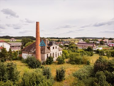 działka na sprzedaż 4538m2 działka Rozłazino, Długa