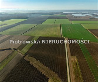 działka na sprzedaż 12296m2 działka Brodnia